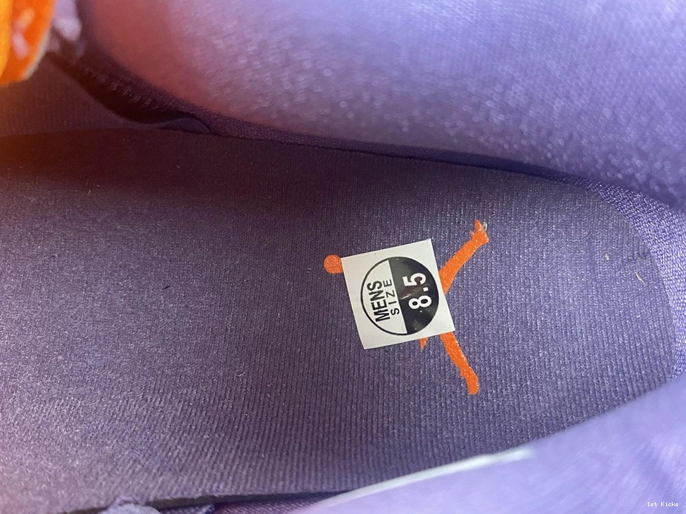 “Canyon AQ9129-500 WMNS 4 Jordan Air Purple” 1013